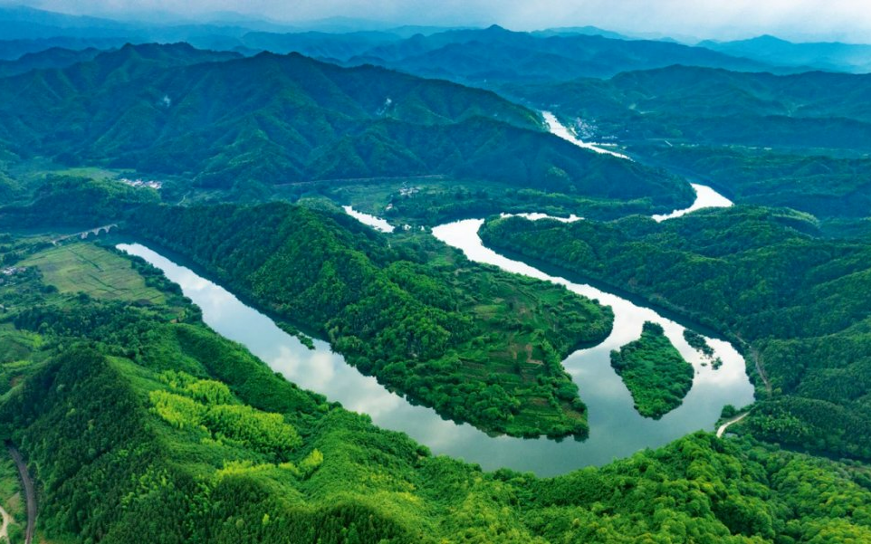 生命智愈大会：只为一个“养”字，长三角的都市游客为何奔赴皖南这座小城？